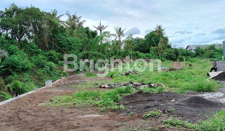 TANAH KAVLING SUASANA NYAMAN DAN ASRI LOKASI PERING GIANYAR 2