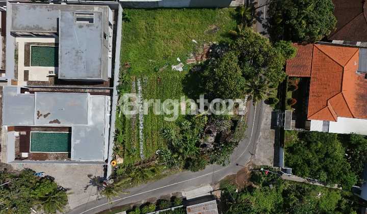 Tanah Disewakan Lokasi Strategis Cocok Untuk Usaha Lokasi Padang Tawang Canggu