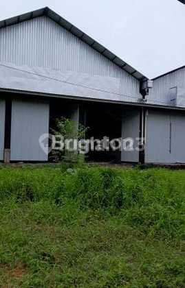 New & Cheap Warehouse for Rent Ida Bagus Mantra 1300 Meters New & Cheap Warehouse for Rent Ida Bagus Mantra 1300 Meters