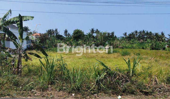 TANAH LINGKUNGAN VILLA LOKASI SABA PERING GIANYAR