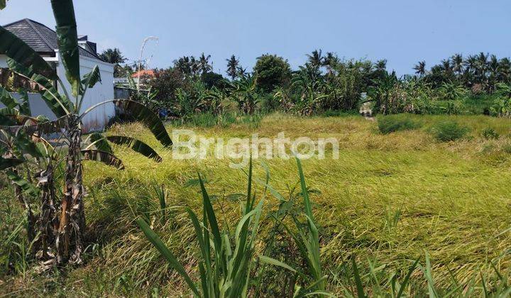 TANAH LINGKUNGAN VILLA LOKASI SABA PERING GIANYAR 2