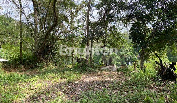 TANAH LINGKUNGAN VILLA LOKASI KELIKI UBUD 2