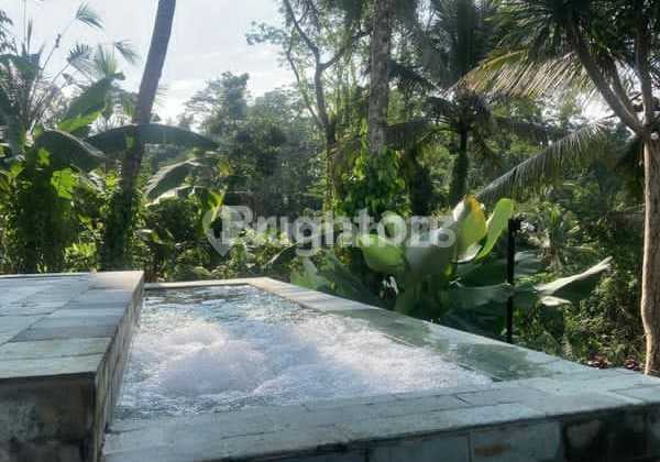 For Sale Fast Resort With Exotic Forest View Tegalalang Ubud