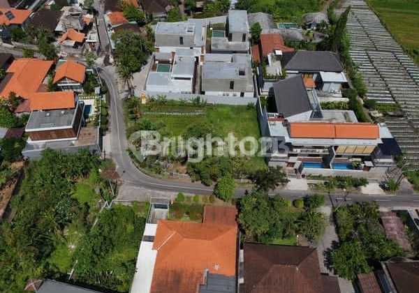 Tanah Disewakan Lokasi Strategis Cocok Untuk Usaha Lokasi Padang Tawang Canggu