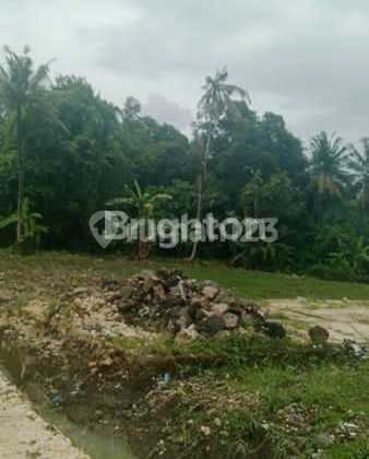 Premium Land For Sale - Freehold - Pink Zone (Commercial)