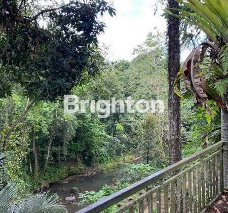 Turun Harga Rumah 2 Lantai Hitung Harga Tanah Bonus Bangunan Dengan View Sungai Lokasi Kediri Tabanan
