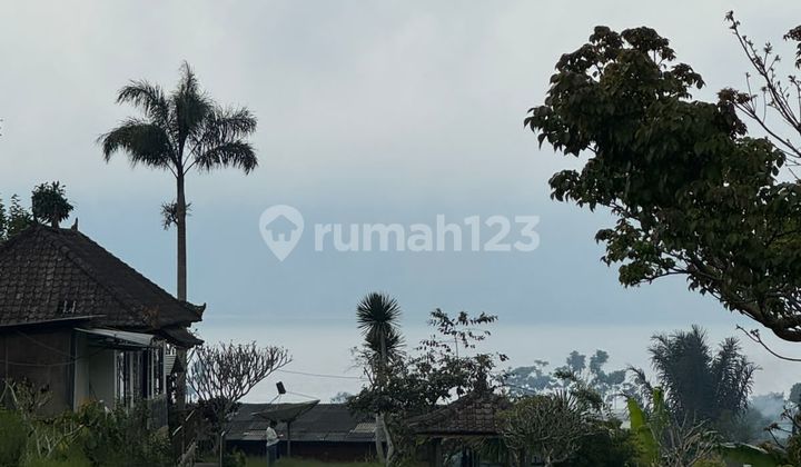 Land for Rent Location Bedugul