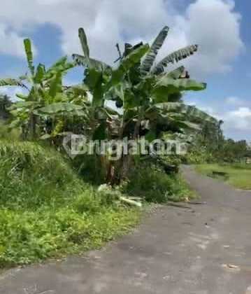 For Sale: Land Ready to Build, Easy Access, Siangan Gianyar Location