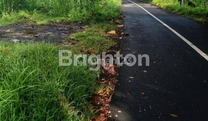 TANAH KAVLING LINGKUNGAN NYAMAN DAN TENANG di PERING GIANYAR 1