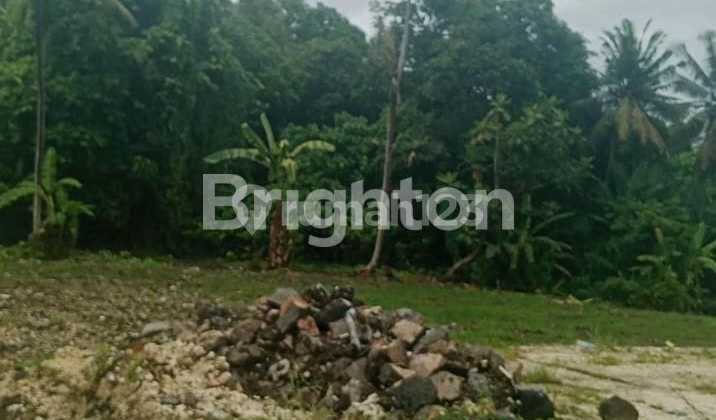 Premium Land For Sale - SHM (Freehold) - Pink Zone\Npremium Land For Sale - Freehold - Pink Zone (Commercial)