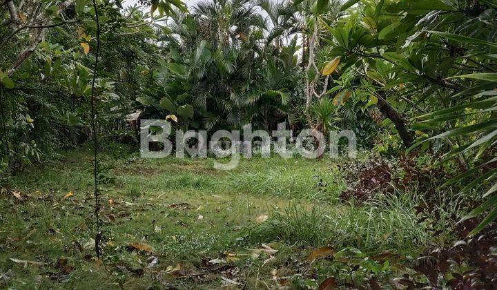 TANAH DEKAT PANTAI SIYUT GIANYAR COCOK UNTUK VILLA  2