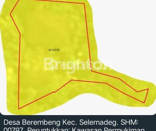 TANAH LUAS BONUS RUMAH DENGAN VIEW SUNGAI 2