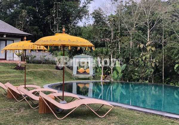 Villa 4 Units Asri View Mountain Also Orange Garden in Payangan Ubud