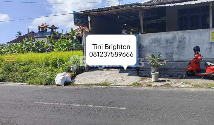 Di Jual Hunian Strategis Di Hitung Harga Tanah Saja Lokasi Angantaka Badung.  2