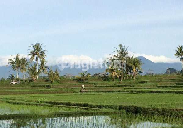 Land Area of 2.5 Hectares in Tegalalang, Mountain & Valley View Land Area of 2.5 Hectares in Tegalalang, Mountain & Valley View