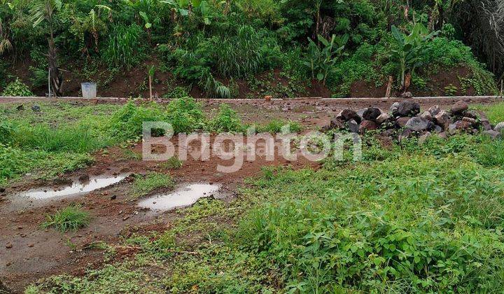 TANAH KAVLING SUASANA NYAMAN DAN ASRI LOKASI PERING GIANYAR 1