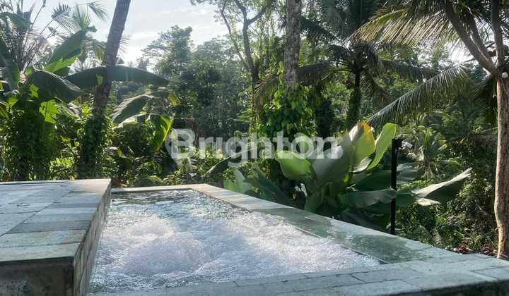 For Sale Fast Resort With Exotic Forest View Tegalalang Ubud