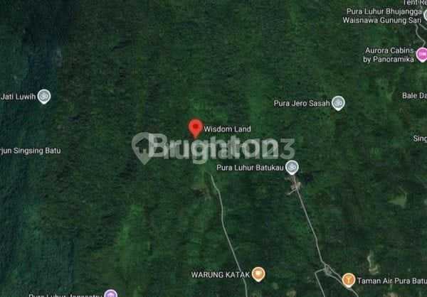 Di Jual Tanah Kavling Premium Durian Musangking View Hill, Ocean, Forest. Investasi Agro, Eco Dan Tourism Bernilai Tinggi Lokasi Penebel Tabanan