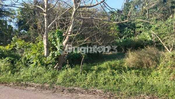 Tanah Dekat Pantai Lokasi Keramas Gianyar Cocok Investasi Villa Tanah Dekat Pantai Lokasi Keramas Gianyar Cocok Investasi Villa