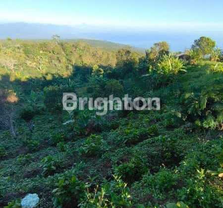 Jual Tanah Munduk View Pantai Cantik