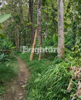 Tanah Zona Kuning Lingkungan Villa Premium Lokasi Pejeng Gianyar
