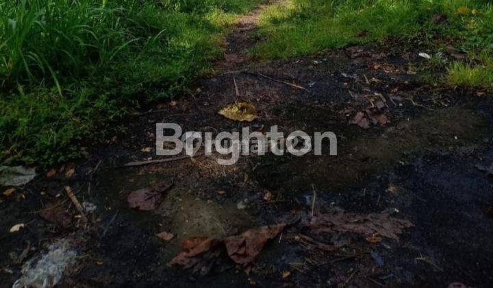 TANAH KAVLING LINGKUNGAN NYAMAN DAN TENANG di PERING GIANYAR 2