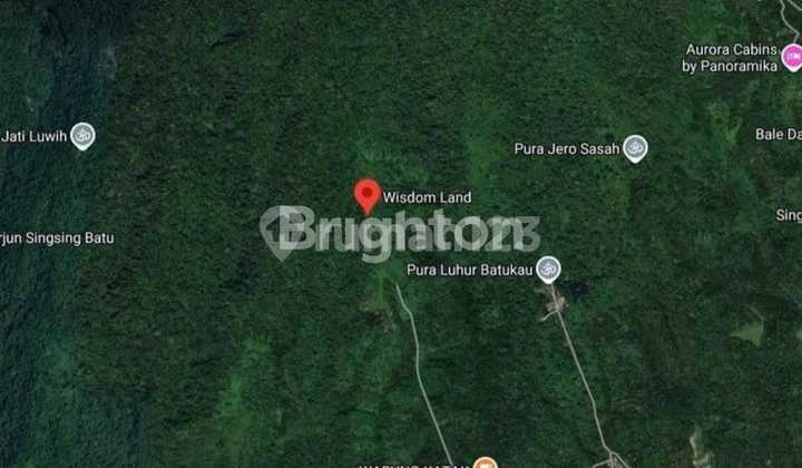 Di Jual Tanah Kavling Premium Durian Musangking View Hill, Ocean, Forest. Investasi Agro, Eco Dan Tourism Bernilai Tinggi Lokasi Penebel Tabanan