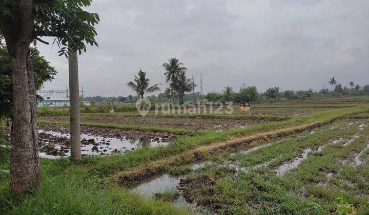 Tanah daerah ciranjang - cianjur 1