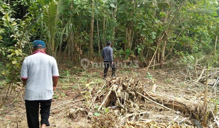 Tanah Pekarangan Dekat Pondok Dan Kantor Kelurahan Bagus di Kavling 1