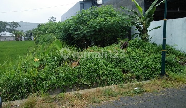 Tanah Dekat Kampus Dan Ringroad Utara Bagus Untuk Kost Nyaman Tanah Dekat Kampus Dan Ringroad Utara Bagus Untuk Kost Nyaman