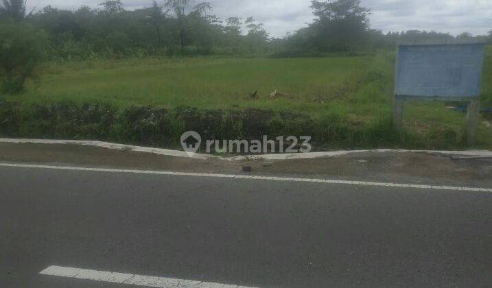 Tanah Sawah Pinggir Jalan Dekat Rencana Jalur Tol Ke Bandara Yia 1