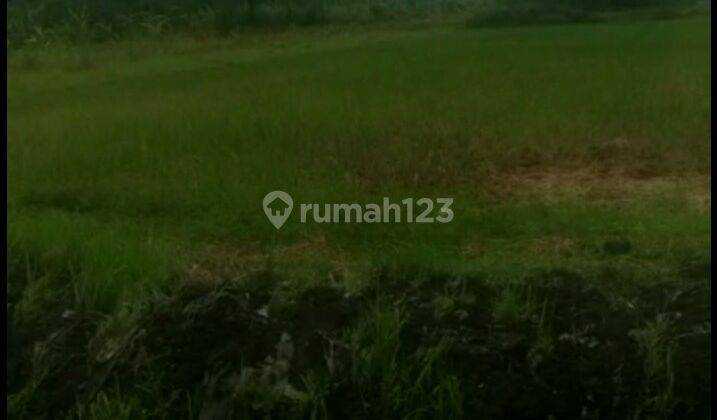 Tanah Sawah Pinggir Jalan Dekat Rencana Jalur Tol Ke Bandara Yia 3