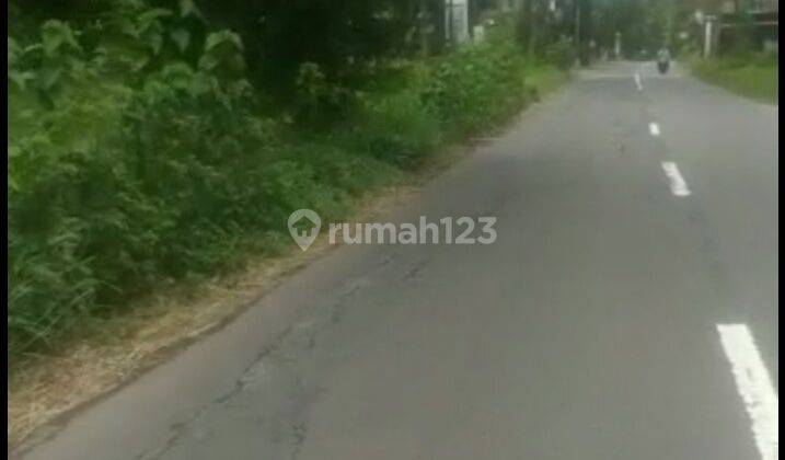 Tanah Sawah Pinggir Jalan Dekat Rencana Jalur Tol Ke Bandara Yia 5