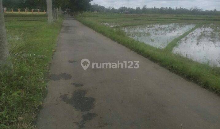 Tanah Sawah Dekat Jalur Yia Pinggir Jalan Strategis 1