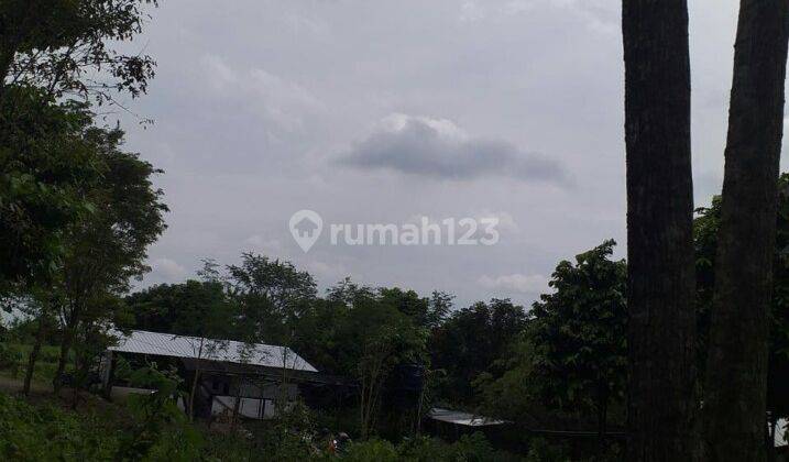 Tanah Pekarangan Dekat Pusat Kota Dan Daerah Bisnis 1