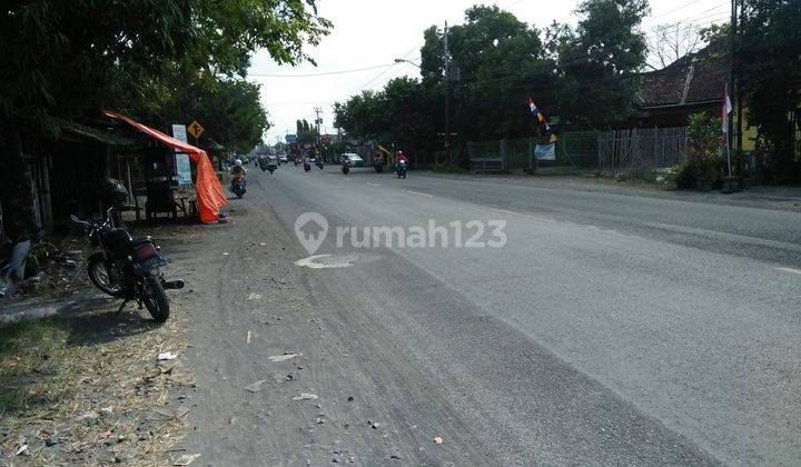 Rumah Sewa Di Jalan Bantul Sewon, Banyak Kuliner, Pertokoan, Strategis, Bisa Untuk Kantor 2