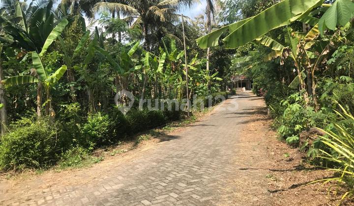 Yard Land for Sale in Minggir Sleman, Can Be Parceled Near Godean Road, Comfortable and Developing