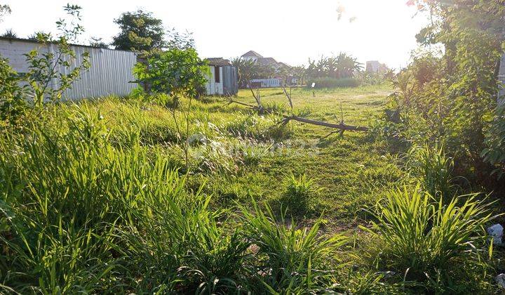 Tanah Pekarangan Disewakan Sewon Pinggir Jalan Besar Strategis Akses Mudah 1