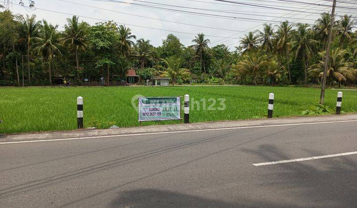 Tanah Sawah Dijual Lendah Pinggir Jalan Utama Ramai Dekat Rumah Sakit Bagus Untuk Kantor Gudang Usaha 1