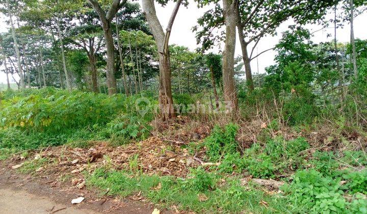 Tanah kebun di pinggir jalan kabupaten Majalengka Jawa Barat 1