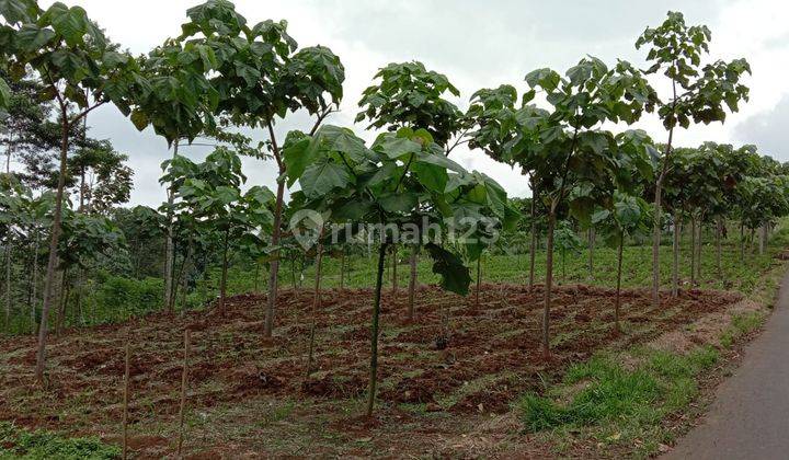 Tanah kebun di pinggir jalan kabupaten Majalengka Jawa Barat 2
