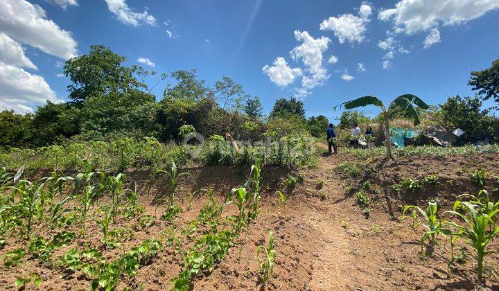 Kavling 150.000 m² Cocok Utk Perumahan di Serang Banten 2