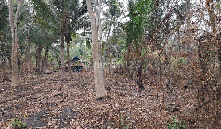 Jual Cepat Tanah 13.000 m² SHM Pinggir Jalan di Mauk 2