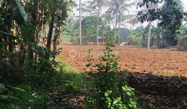 Jual Cepat Kavling 9.450 m² nego smp deal di Kampung Dandang 2