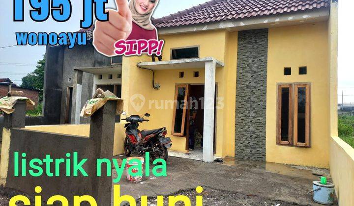 Rumah wonoayu, Siap Huni,Bisa kredit Tanpa Bunga, Legal jelas Siap balik nama,akses Terbentuk  6