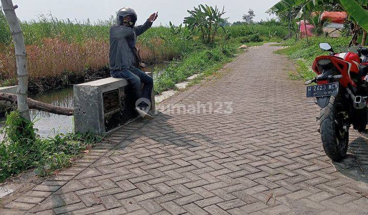 Tanah Sawah Tulangan Sidoarjo Luas 1676 Meter 2