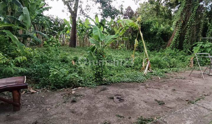 Tanah Murah Sukodono Sidoarjo Suruh Dekat Pasar 2