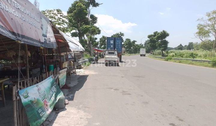 Tanah Murah Nol Raya  Tanggulangin 12 X 75 M Shm 1