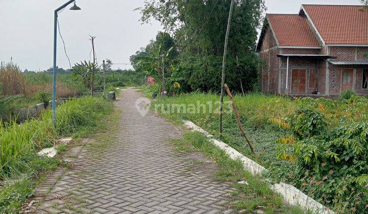 Tanah Sawah Tulangan Sidoarjo Luas 1676 Meter 2