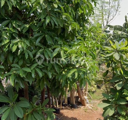 TERMURAH TANAH KAVLING DKI MERUYA SELATAN KEMBANGAN JAKARTA BARAT LT287 HGB Hanya 7,3juta/meter TERMURAH TANAH KAVLING DKI MERUYA SELATAN KEMBANGAN JAKARTA BARAT LT287 HGB Hanya 7,3juta/meter